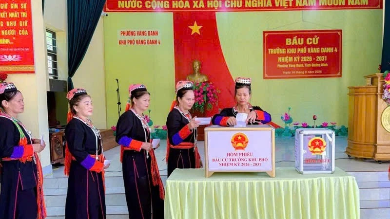 Quảng Ninh: Gần 400 nghìn cử tri đồng loạt bầu cử Trưởng thôn, bản, khu phố nhiệm kỳ 2026-2031 Quảng Ninh: Gần 400 nghìn cử tri đồng loạt bầu cử Trưởng thôn, bản, khu phố nhiệm kỳ 2026-2031