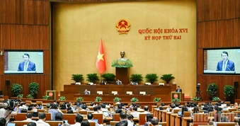Quốc hội thảo luận dự án Bộ luật Hình sự (sửa đổi)