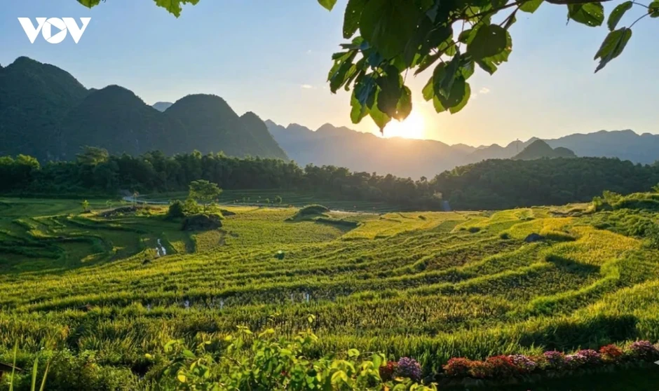 Sáp nhập thôn, tổ dân phố ở Thanh Hóa: Khôi phục nhiều tên làng cổ, người dân đồng thuận Sáp nhập thôn, tổ dân phố ở Thanh Hóa: Khôi phục nhiều tên làng cổ, người dân đồng thuận