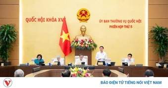 Tập trung rà soát, hoàn thiện dự án Bộ luật Hình sự (sửa đổi) trình Quốc hội
