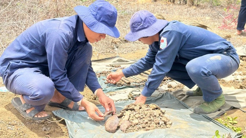Tây Ninh quyết tâm đưa các “Anh” về đất mẹ Tây Ninh quyết tâm đưa các “Anh” về đất mẹ