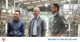 Thanh Hóa tăng cường kỷ luật hành chính, nâng cao chất lượng điều hành