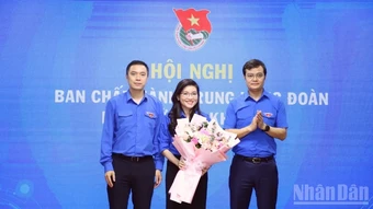 Thành lập Hội đồng Đội Trung ương khóa X, giai đoạn 2026-2031