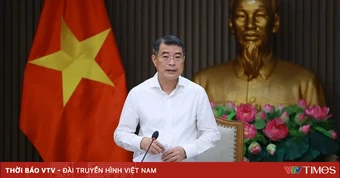 Thủ tướng làm Trưởng Ban Chỉ đạo quốc gia khắc phục hậu quả bom mìn, chất độc hóa học