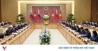 Thủ tướng Lê Minh Hưng hội đàm với Thủ tướng Cộng hòa Slovakia Robert Fico