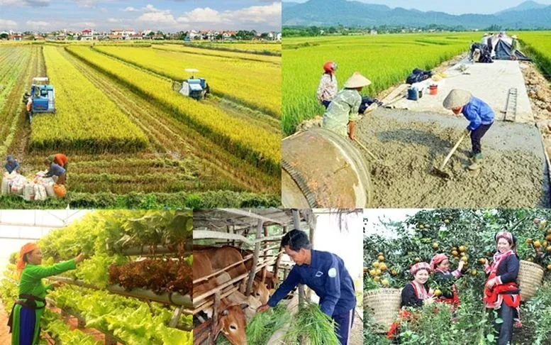 Thủ tướng yêu cầu hoàn thành hướng dẫn chương trình mục tiêu quốc gia trước 30/5