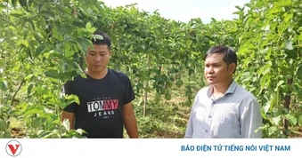 Tiếp sức cho cơ sở, nâng cao năng lực thực thi