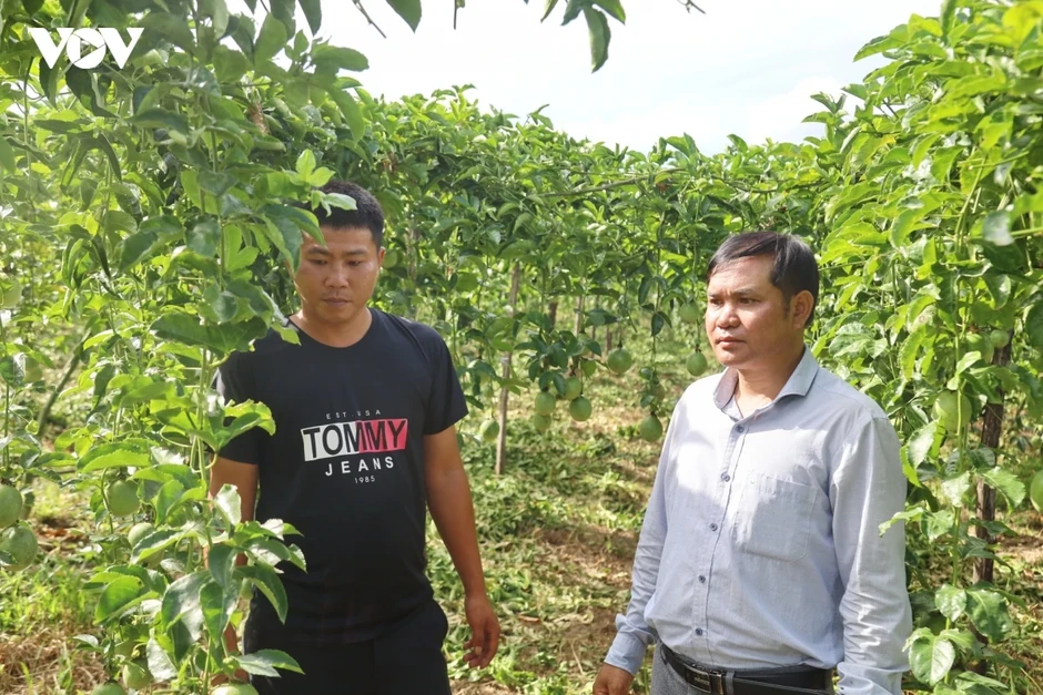 Tiếp sức cho cơ sở, nâng cao năng lực thực thi Tiếp sức cho cơ sở, nâng cao năng lực thực thi