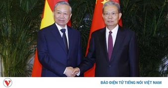Tổng Bí thư, Chủ tịch nước hội kiến Ủy viên trưởng Nhân đại toàn quốc Trung Quốc