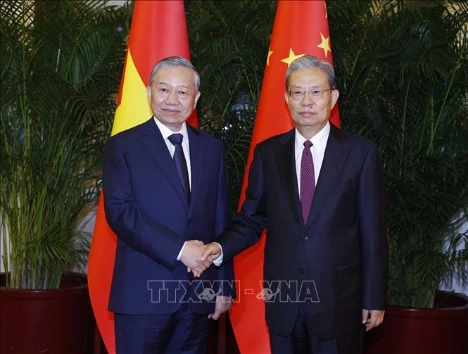 Tổng Bí thư, Chủ tịch nước hội kiến Ủy viên trưởng Nhân đại toàn quốc Trung Quốc Tổng Bí thư, Chủ tịch nước hội kiến Ủy viên trưởng Nhân đại toàn quốc Trung Quốc