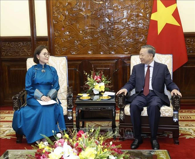 Tổng Bí thư, Chủ tịch nước Tô Lâm tiếp các Đại sứ trình Quốc thư Tổng Bí thư, Chủ tịch nước Tô Lâm tiếp các Đại sứ trình Quốc thư