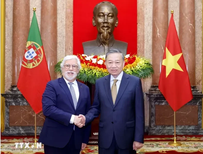 Tổng Bí thư, Chủ tịch nước Tô Lâm tiếp Đại sứ các nước trình Quốc thư Tổng Bí thư, Chủ tịch nước Tô Lâm tiếp Đại sứ các nước trình Quốc thư