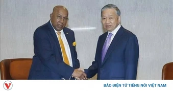 Tổng Bí thư, Chủ tịch nước Tô Lâm tiếp lãnh đạo Tập đoàn Hayleys (PLC), Sri Lanka