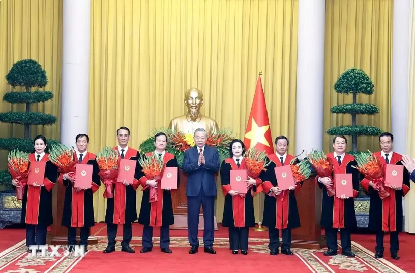 Tổng Bí thư, Chủ tịch nước Tô Lâm trao quyết định bổ nhiệm Thẩm phán Tòa án nhân dân tối cao Tổng Bí thư, Chủ tịch nước Tô Lâm trao quyết định bổ nhiệm Thẩm phán Tòa án nhân dân tối cao