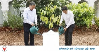 Tổng Bí thư, Chủ tịch nước Tô Lâm trồng cây kỷ niệm tại Vườn Bách thảo Singapore