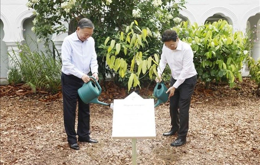 Tổng Bí thư, Chủ tịch nước Tô Lâm trồng cây kỷ niệm tại Vườn Bách thảo Singapore Tổng Bí thư, Chủ tịch nước Tô Lâm trồng cây kỷ niệm tại Vườn Bách thảo Singapore