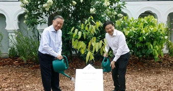 Tổng Bí thư, Chủ tịch nước Tô Lâm trồng cây tại Vườn Bách thảo Singapore