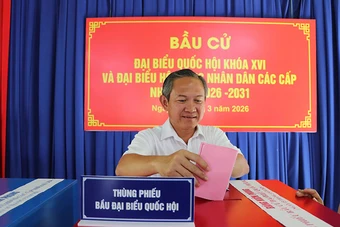 TP Hồ Chí Minh: Phường Phú An vận hành thử nghiệm quy trình bầu cử các cấp