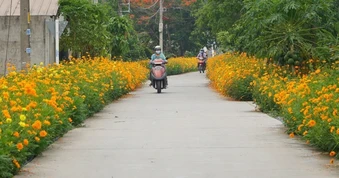TPHCM: xã đủ điều kiện khẩn trương hoàn thiện thủ tục lên phường