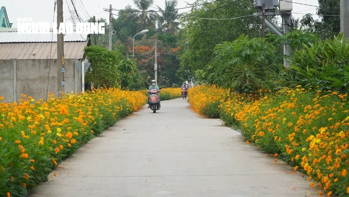 TPHCM: xã đủ điều kiện khẩn trương hoàn thiện thủ tục lên phường TPHCM: xã đủ điều kiện khẩn trương hoàn thiện thủ tục lên phường