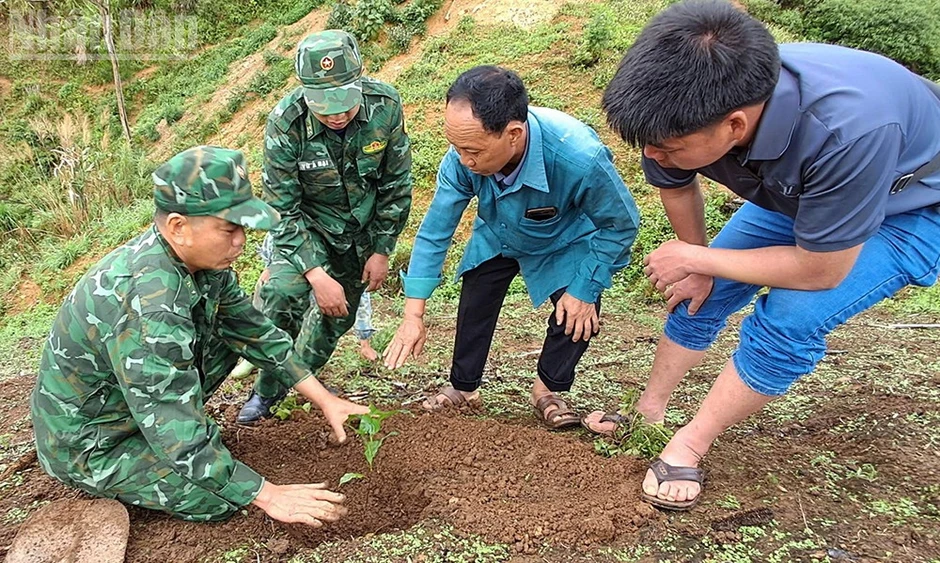 Trao tặng 6.200 cây cà-phê cho người dân nước bạn Lào Trao tặng 6.200 cây cà-phê cho người dân nước bạn Lào
