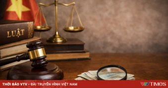 Triển khai thi hành 2 Luật liên quan đến khiếu nại, tố cáo và phòng, chống tham nhũng