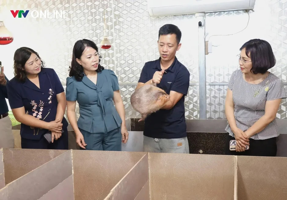 Tuyên Quang: Khi nghị quyết bén rễ trên đất đá Tuyên Quang: Khi nghị quyết bén rễ trên đất đá