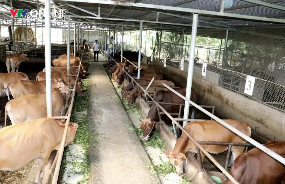 Tuyên Quang: Khi nghị quyết bén rễ trên đất đá Tuyên Quang: Khi nghị quyết bén rễ trên đất đá