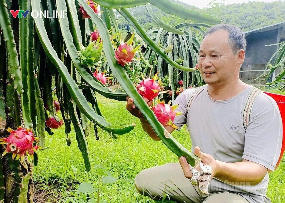 Tuyên Quang: Khi nghị quyết bén rễ trên đất đá Tuyên Quang: Khi nghị quyết bén rễ trên đất đá
