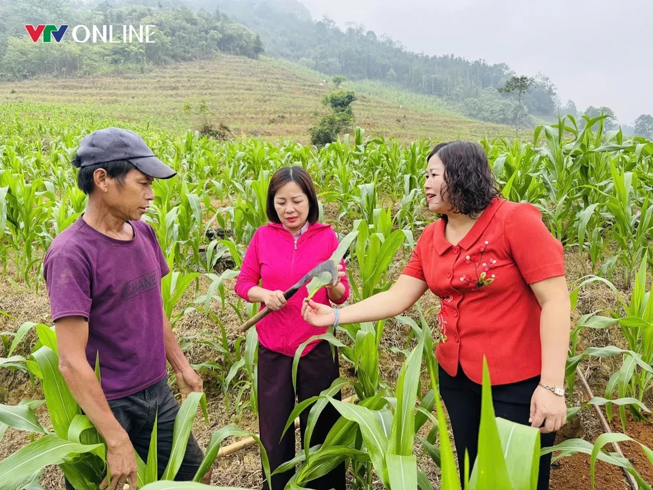 Tuyên Quang: Khi nghị quyết bén rễ trên đất đá Tuyên Quang: Khi nghị quyết bén rễ trên đất đá