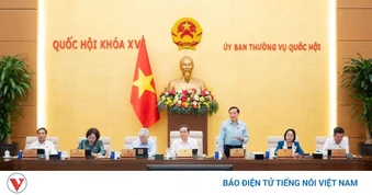 Ủy ban Thường vụ Quốc hội sẽ cho ý kiến về Bộ luật Hình sự sửa đổi