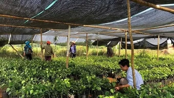 Vai trò của cán bộ, đảng viên trong xây dựng nông thôn mới
