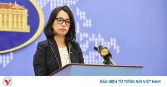 Việt Nam hoan nghênh việc các nước giải quyết tranh chấp bằng biện pháp hòa bình