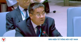 Việt Nam kêu gọi không để diễn biến tại Trung Đông làm lu mờ vấn đề Palestine