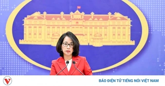 Việt Nam tiếp tục ủng hộ nạn nhân chất độc da cam đòi công lý