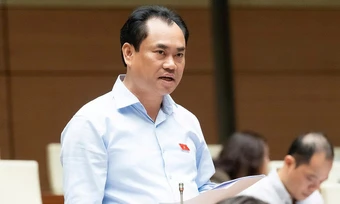 Việt Nam xem xét giảm diện tích đất trồng lúa