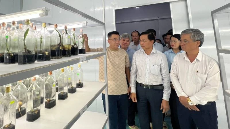 Vĩnh Long tập trung giải pháp tạo đà tăng trưởng hai con số Vĩnh Long tập trung giải pháp tạo đà tăng trưởng hai con số