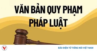 Xử lý triệt để tình trạng chậm ban hành văn bản quy định chi tiết luật, pháp lệnh