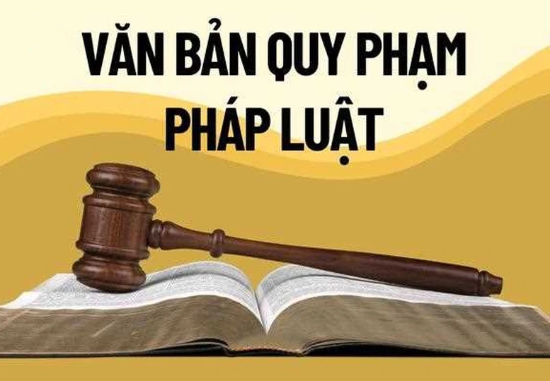 Xử lý triệt để tình trạng chậm ban hành văn bản quy định chi tiết luật, pháp lệnh