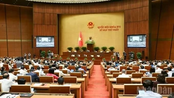 Ý kiến cử tri
