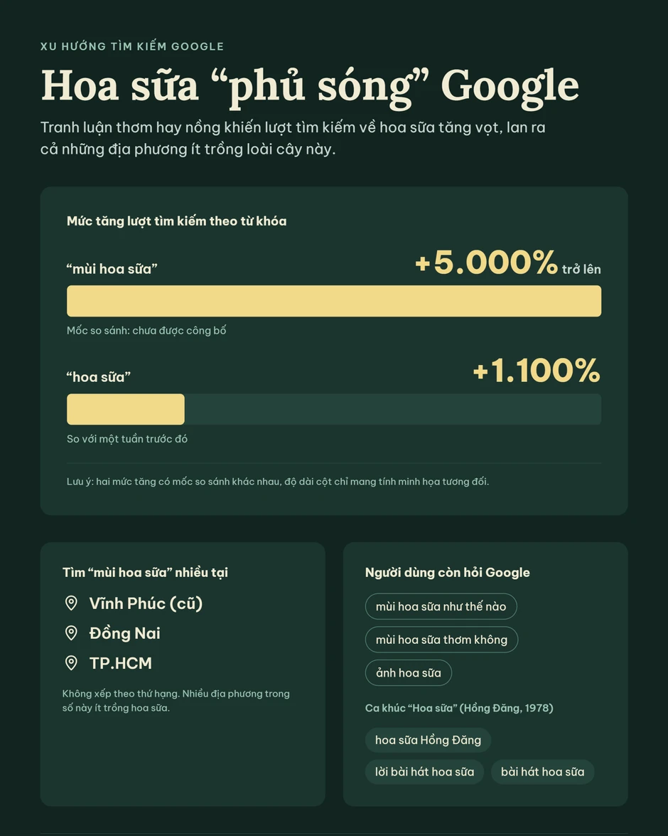 "Hoa sữa" - thứ được tìm kiếm nhiều nhất ngay lúc này! "Hoa sữa" - thứ được tìm kiếm nhiều nhất ngay lúc này!