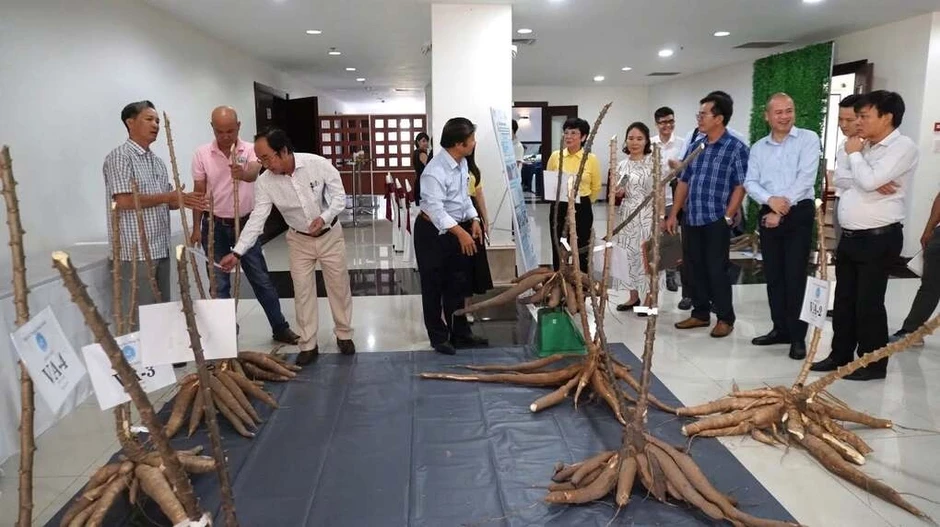 5 năm VinFuture kết nối trí tuệ toàn cầu bài toán thực tiễn Việt Nam 5 năm VinFuture kết nối trí tuệ toàn cầu bài toán thực tiễn Việt Nam
