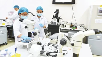 Bắt tay “ba nhà” hình thành liên minh công nghệ cao thực chất