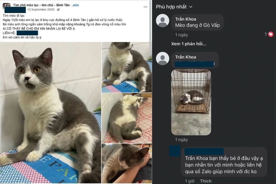 Chiêu lừa mới: Dùng ảnh AI thú cưng để đòi tiền chuộc Chiêu lừa mới: Dùng ảnh AI thú cưng để đòi tiền chuộc