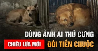 Chiêu lừa mới: Dùng ảnh AI thú cưng để đòi tiền chuộc