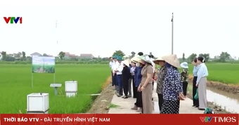 Công nghệ giải mã khí methane trên đồng ruộng