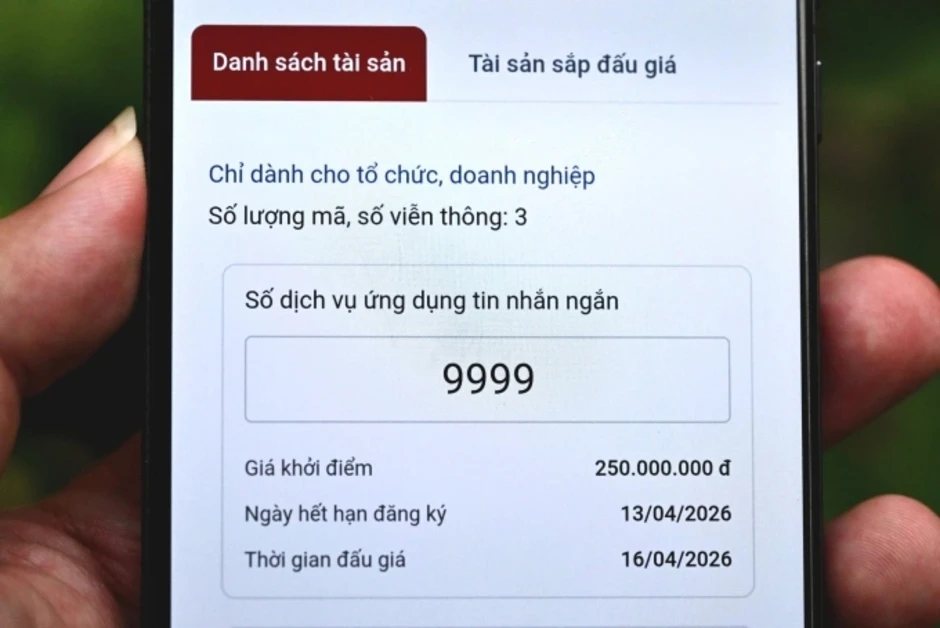 Đấu giá quyền sử dụng mã, số viễn thông, khởi điểm 250 triệu đồng Đấu giá quyền sử dụng mã, số viễn thông, khởi điểm 250 triệu đồng