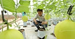 Doanh nghiệp ứng dụng AI được Nhà nước tài trợ tới 3 tỷ đồng