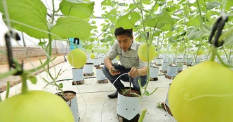 Doanh nghiệp ứng dụng AI được Nhà nước tài trợ tới 3 tỷ đồng