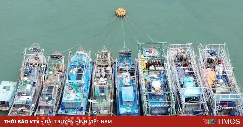 Dữ liệu số hóa khai thác thủy sản còn thiếu đồng bộ Dữ liệu số hóa khai thác thủy sản còn thiếu đồng bộ